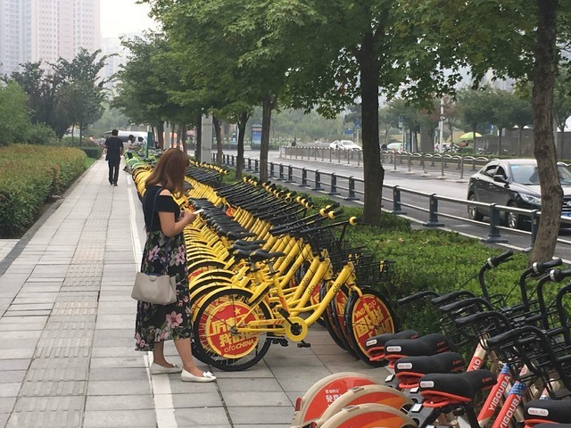 郑州共享单车之旅，绿色出行的独特体验