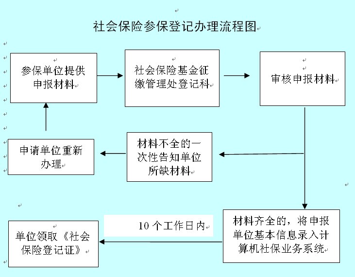 集装箱申报手续流程图全面解析