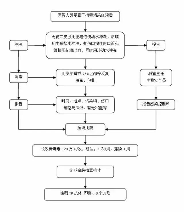 买单报关客户清关流程全面解析