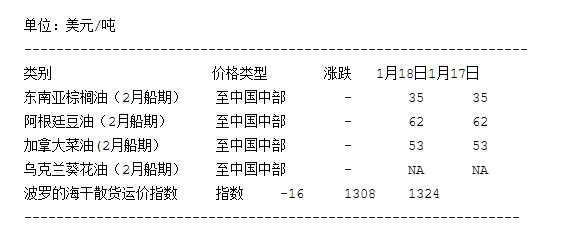 航运报价单模板详解与指南