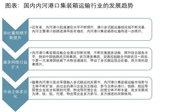 国际集装箱运输进口业务深度解析，案例剖析与启示