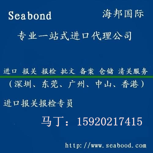 深入理解报关代理公司的角色与价值，一站式服务助力企业高效通关