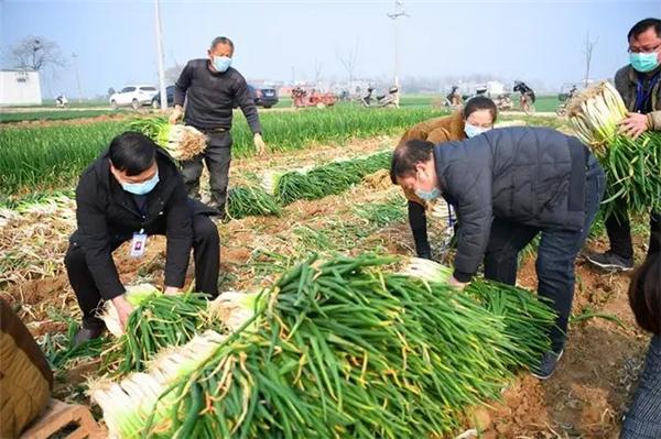 国际配货平台价格对比，哪个平台更具性价比优势？