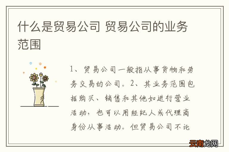 深度解析代理业务和贸易业务的差异，业务模式、操作方式及关键区别点解析