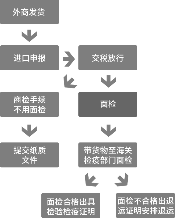 出口商品海关所需文件的详解指南