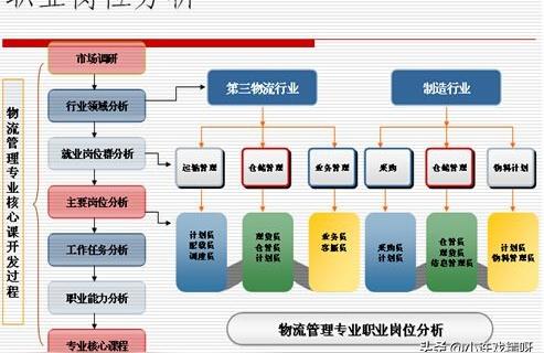 2024年12月3日 第11页