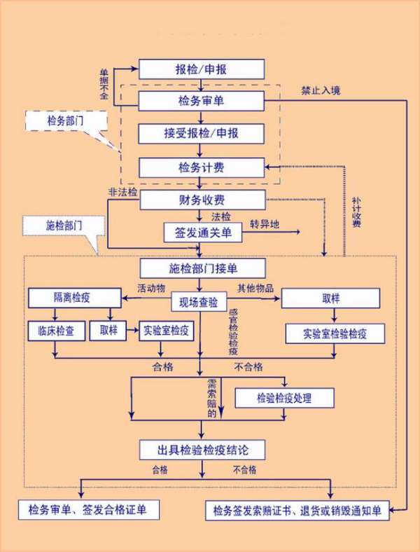 进口货物物流流程全面解析