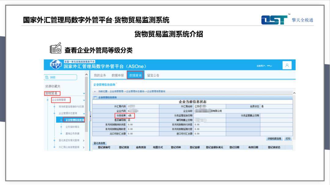 货物贸易外汇监测系统网址，外贸企业管理与合规运营的必备工具