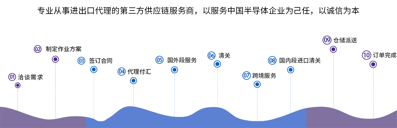 国内进口代理公司排名及影响力深度解析