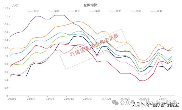 最新海运费走势解析