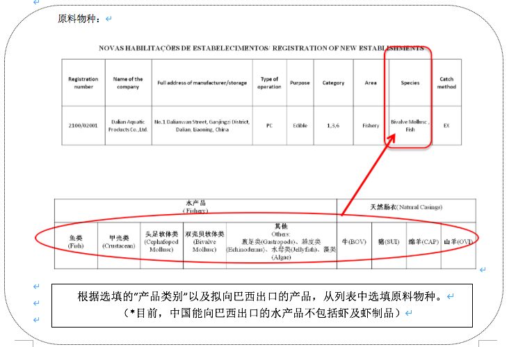 代理出口手续费用全解析，费用构成及手续费标准