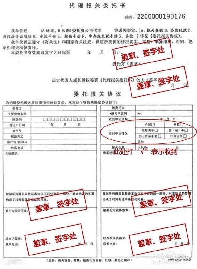 出口货物通关单所需资料详解概览