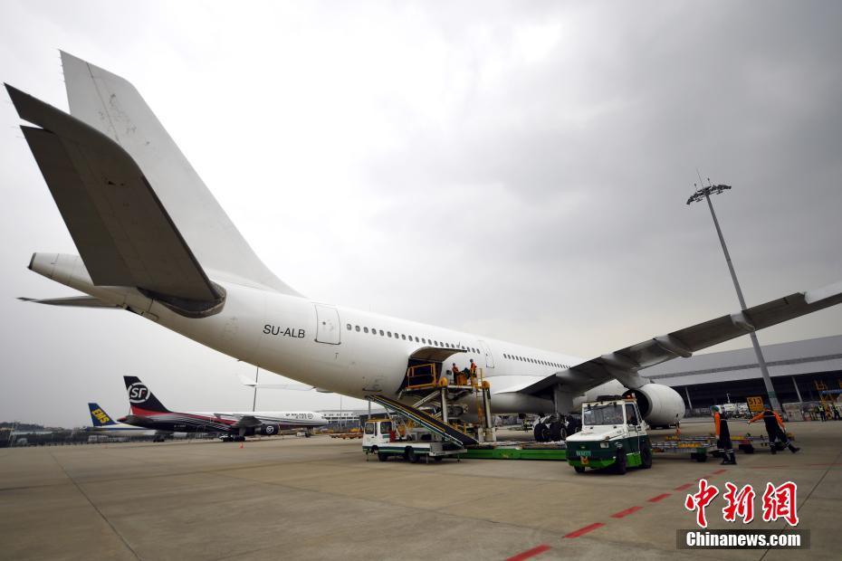 广州机场货站国际空运货物智能查询系统，高效便捷，引领智能化新潮流