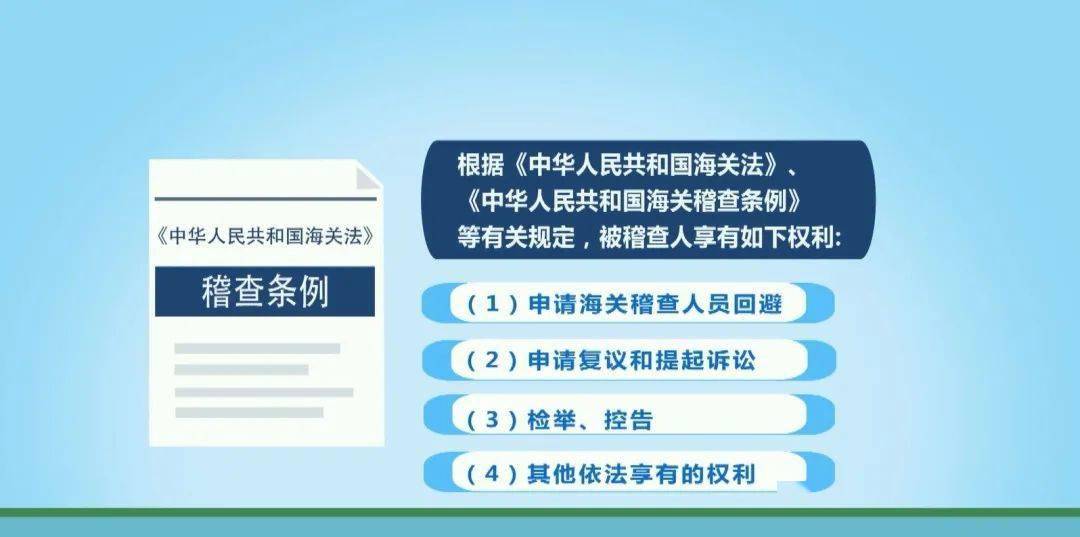 海关检察建议，平衡监管效能与贸易便利的艺术提升策略