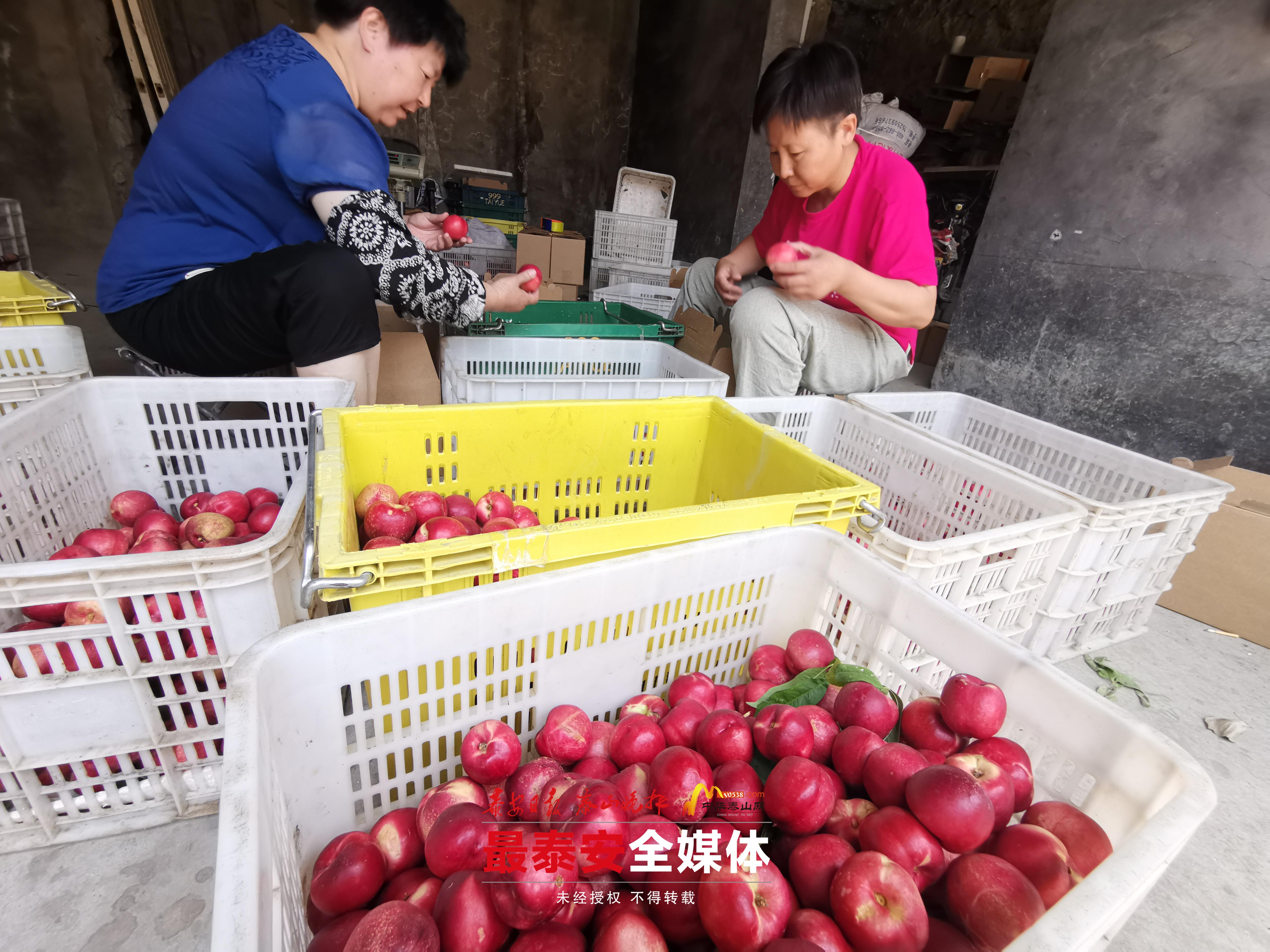 物流运作中的关键环节，配货的含义与重要性解析