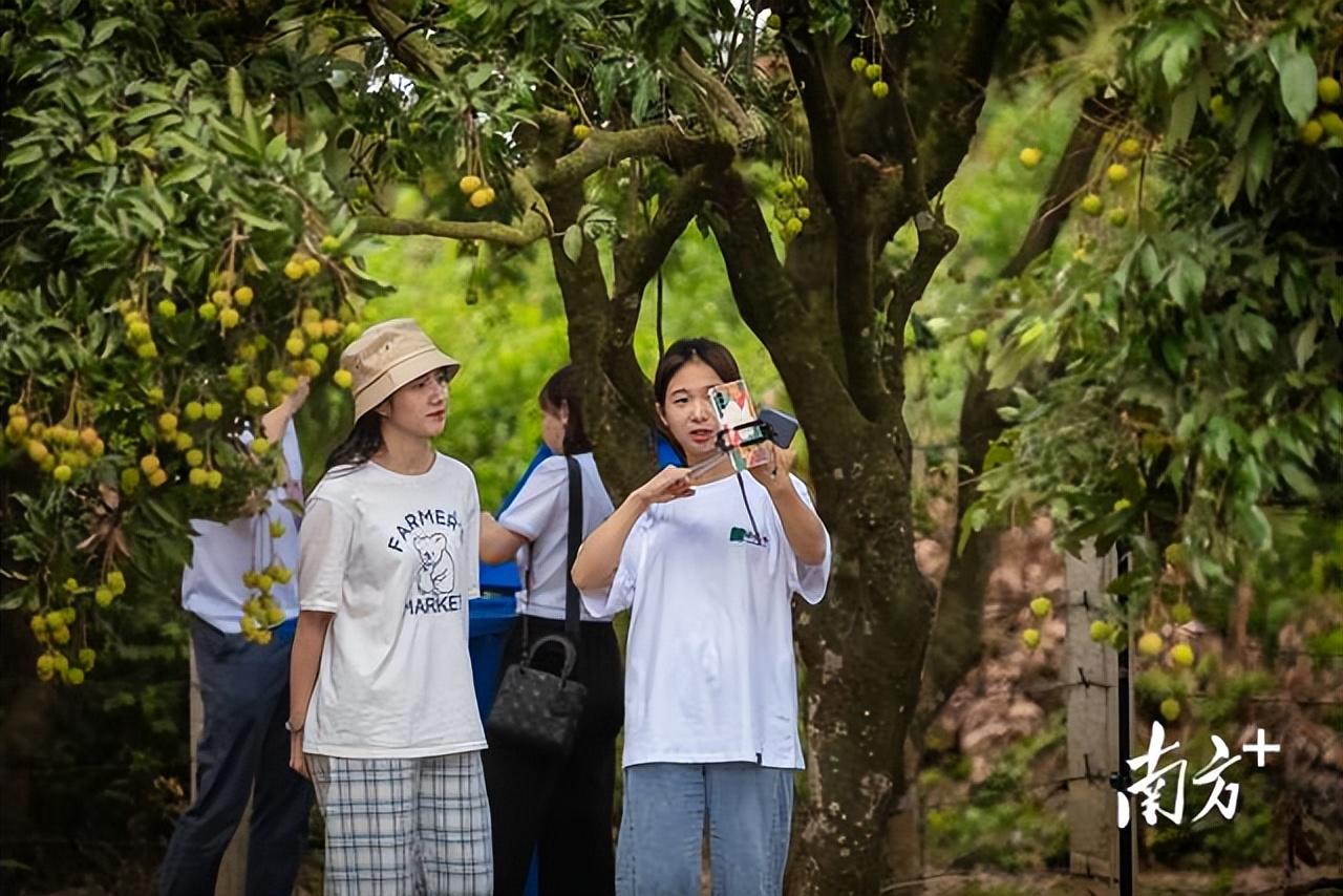 供应链行业的学历背景深度解析，从业者的学历构成与特点