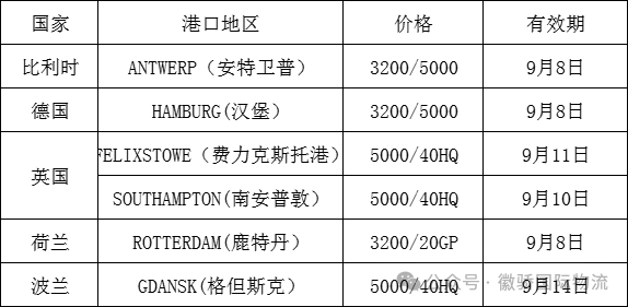 全面解析，海运费一个柜究竟需要多少钱？成本与费用结构一览无余