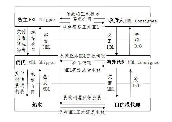 货代流程全面解析